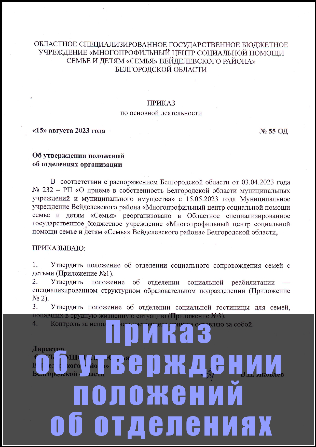 Приказ об утверждении положений об отделениях